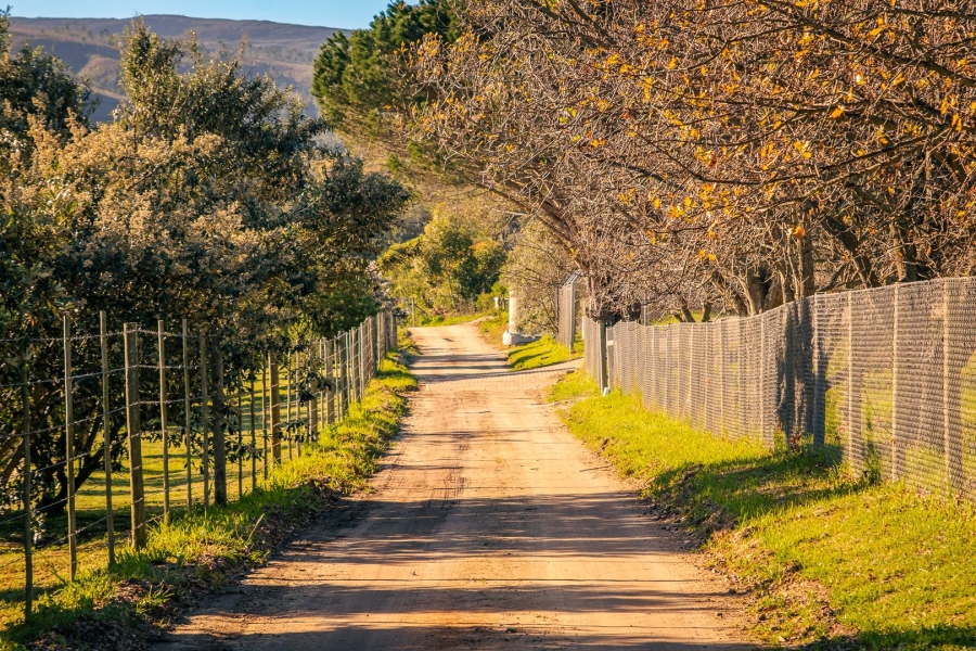Commercial Property for Sale in Baardskeerdersbos Western Cape
